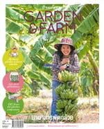 Garden &amp; Farm vol.4 : นานาสารพัดกล้วย