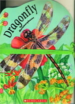 METAMORPHOSES: DRAGONFLY