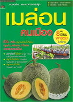 เมล่อน คนเมือง
