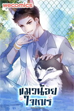 แมวน้อยใจเกเร เล่ม 13